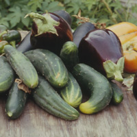 種植新鮮蔬菜，可自用亦可銷售 Farm fresh vegetables to be eaten or sold 