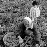 Woman and child, farm workers, Delano, Calif., in 1966
