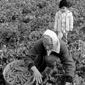 Woman and child, farm workers, Delano, Calif., in 1966