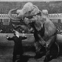 Houdini and Jennie, the elephant, performing at the Hippodrome, New York, 1918.