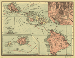 卡米哈米哈 (Kamehameha) 統一了夏威夷群島