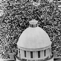 超過三萬人的抗議民眾在遊行後抵達阿拉巴馬州首府蒙哥馬利郡。 More than 30,000 demonstrators reached the capitol in Montgomery, Alabama. 