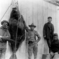 Historic photo of Alaska fishermen