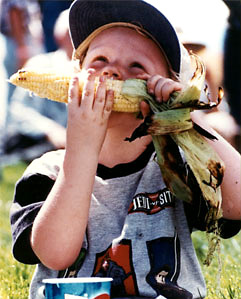 Photo of a child eating corn on the cob