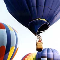 Photo of hot-air balloons in the air