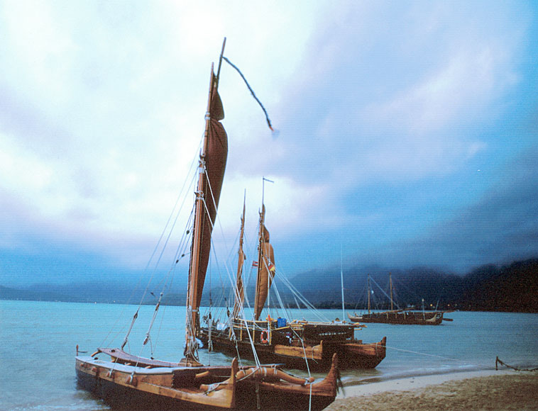 Photo of canoes with sails along shoreline