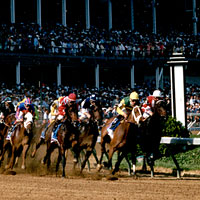 Photo of horses racing on the track at the Kentucky Derby