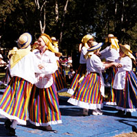 Photo of people dancing in brightly colored costumes