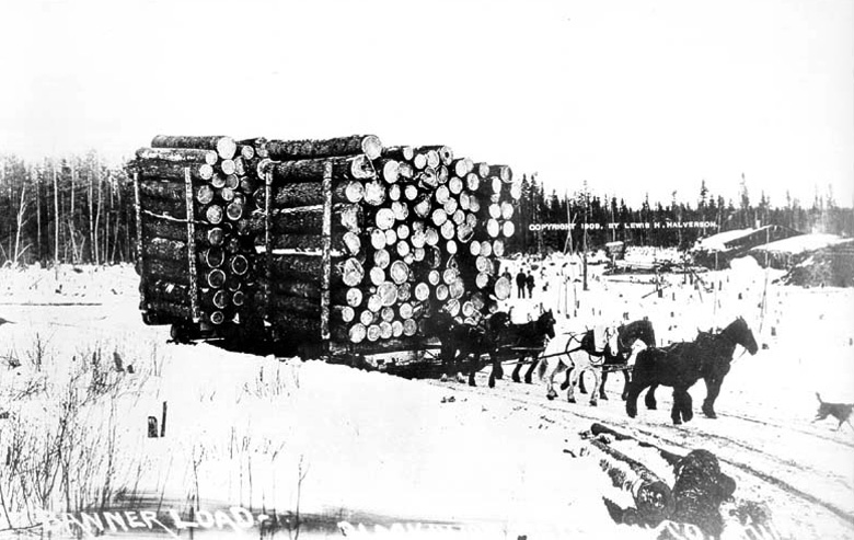 由馬兒負責拖拉的木材重擔，明尼蘇達州，20世紀早期