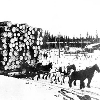 Photo of Banner load, Blackduck, Minnesota 1909.