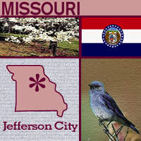 map graphic, bird, tree and flag of Missouri