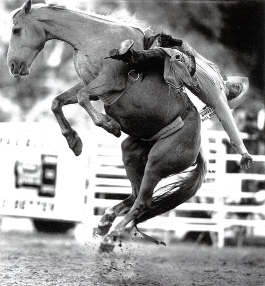 Photo of bareback bronc riding at the Buffalo Bill Rodeo
