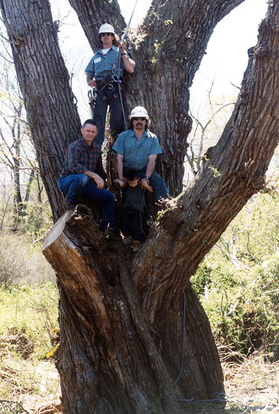 Photo of three people on the Marlboro Tree