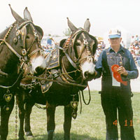 Photo of man holding a ribbon with two mules