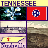 graphic map, flower and images of Tennessee