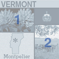map graphic, flower and images of Vermont