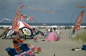 Photo of a beach with lots of kites
