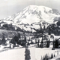 'Mount Rainier'
