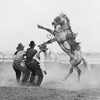 Photo of several people trying to saddle a wild horse while two men on horseback watch from the distance