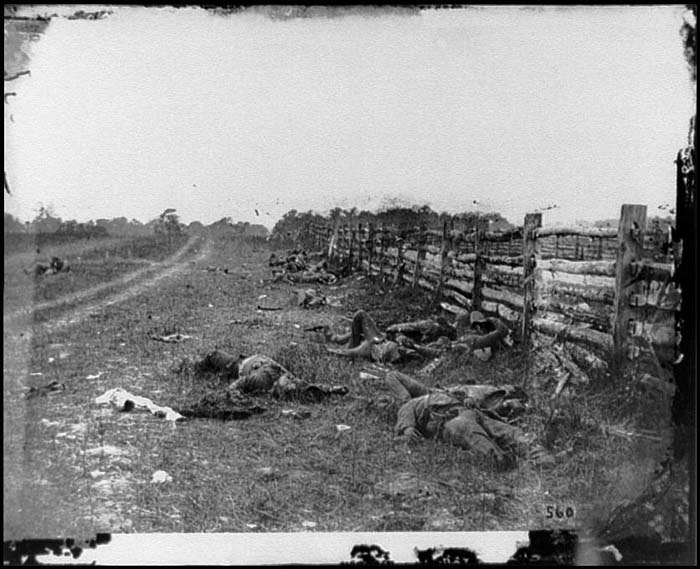 Photo of Confederate dead by a fence on the Hagerstown road, Antietam, Md.