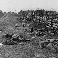 Photo of Confederate dead by a fence on the Hagerstown road, Antietam, Md.
