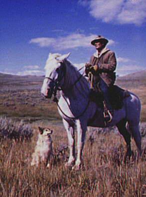 Shepherd with his Horse and Dog on Gravelly Range, Madison County, August 1942