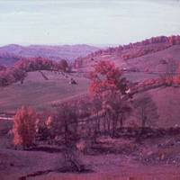 West Virginia Hill Farm