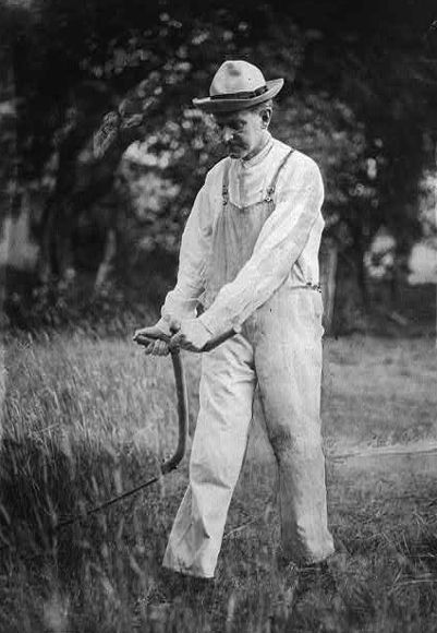President Coolidge on the farm, Plymouth, Vt.