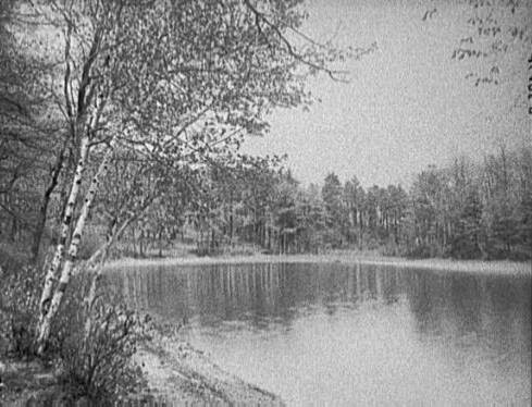 Thoreau's cove, Lake Walden, Concord, Mass