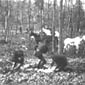 A screen shot from 'The Great Train Robbery,' released in 1903