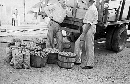 Apples and peddlers, Steele, Missouri, 1938