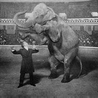 Houdini and Jennie, the elephant, performing at the Hippodrome, New York