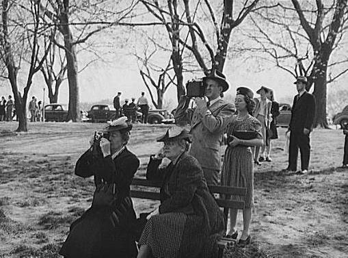 Onlookers snapping pictures of the cherry blossoms