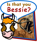 Is That You, Bessie?