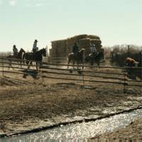 A screen shot from 'Moving Calf to Corral.'