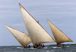 Dhow (單桅帆船) 來自阿拉伯語的dawa