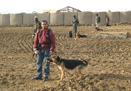 mine detection dogs