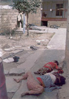 哈萊
卜
傑居民沒有任何免受1988年化學武器攻擊的保護措施
