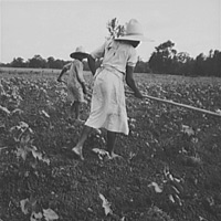 婦女與兒童 Woman and child in field 