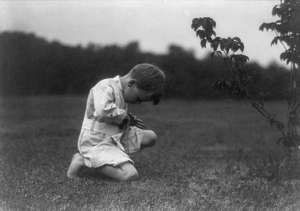 Quentin and the June bug.