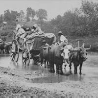 Fugitive African Americans Fording the Rappahannock River. Rappahannock, Virginia, August 1862