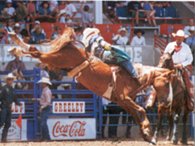 Photo of man on a bucking bronco