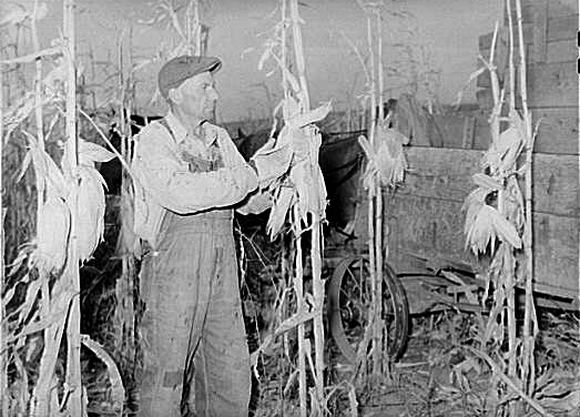 Photo of Fred Maschman 1939