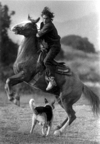 Photo of man riding a horse near a dog