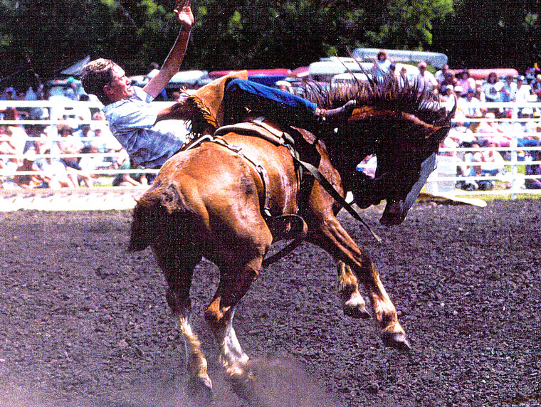 Photo of Clinton Sweet on a buckin' bronco