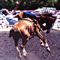 Photo of Clinton Sweet on a buckin' bronco