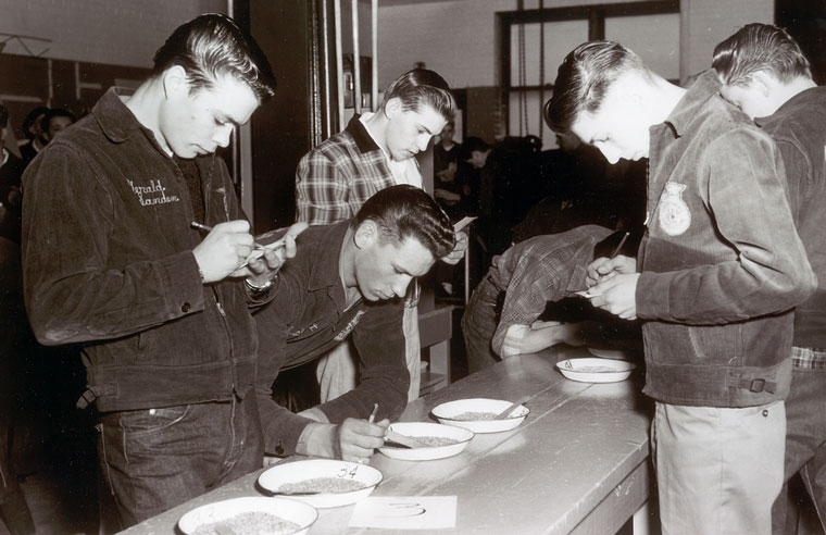 Photo of young men examining grain samples and taking notes