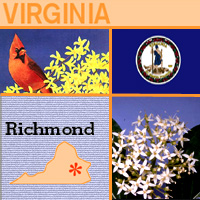 graphic map, bird, flower and seal of Virginia