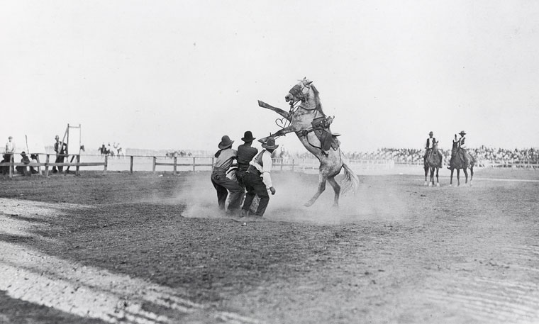 Photo of several people trying to saddle a wild horse while two men on horseback watch from the distance
