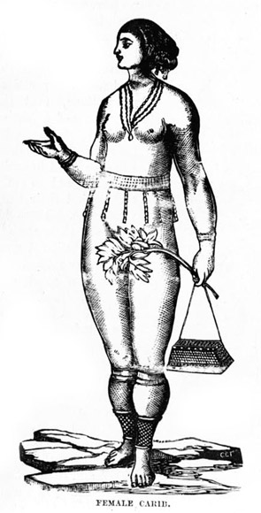A drawing of a female Carib Indian